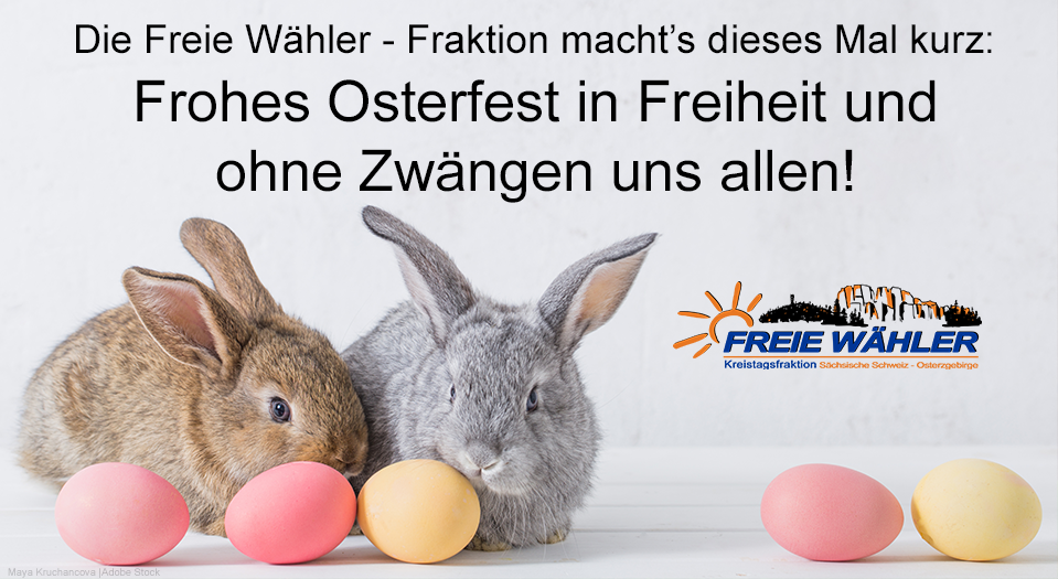FREIE WÄHLER SOE