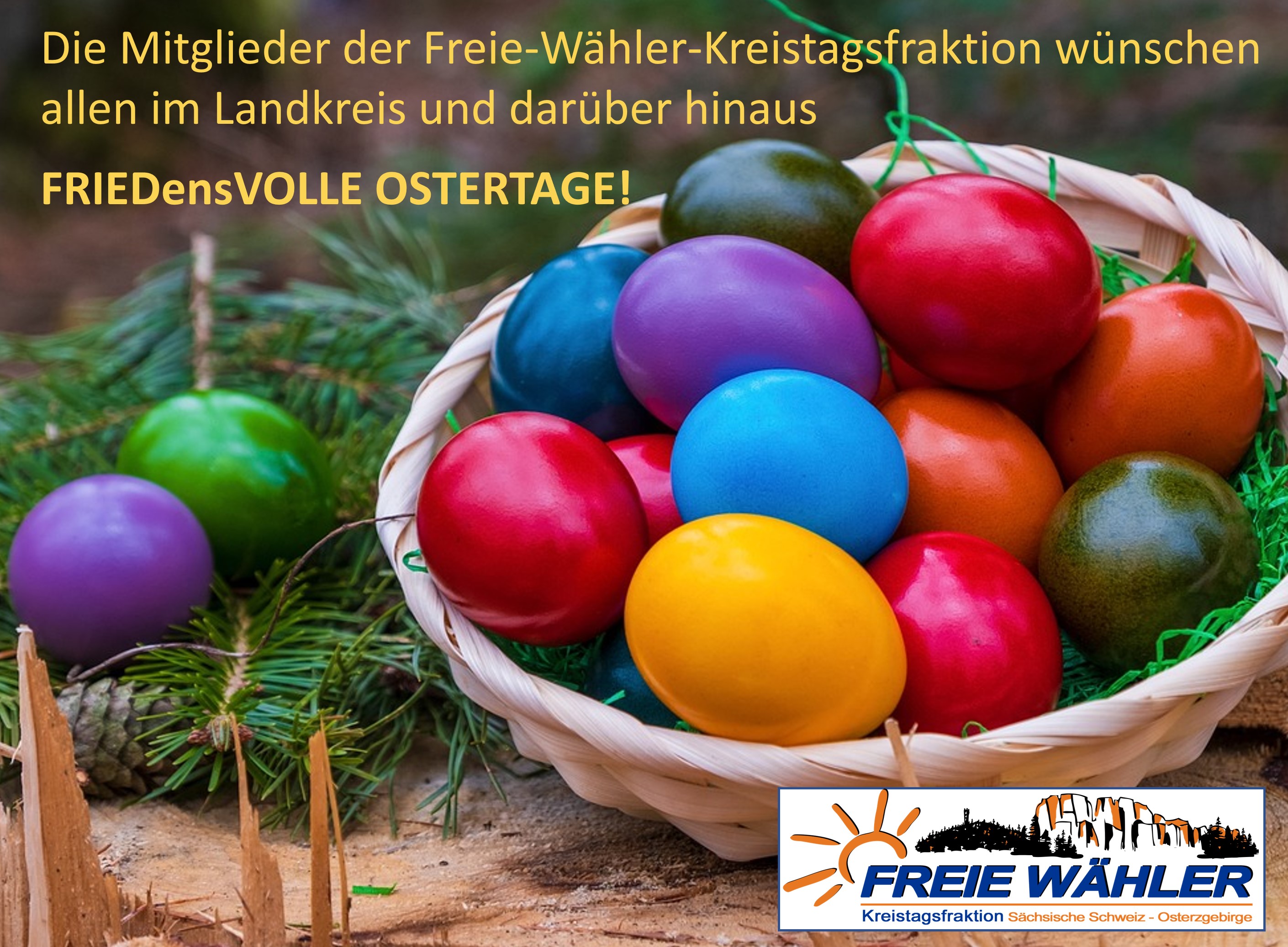 FREIE WÄHLER SOE